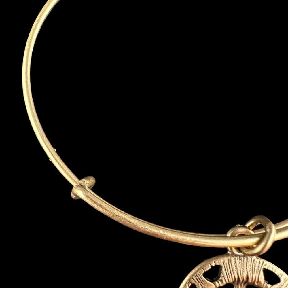 ALEX ANI Charm Bangle Bracelet Openwork Compass Rose Gold Tone Expandable Wire - Picture 8 of 12